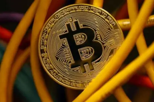 Criptovalute, maneggiare con cura